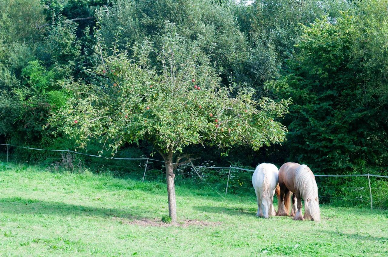 Gite Ferme d'Ervée de Saint-Roch Isigny-sur-Mer Exterior foto